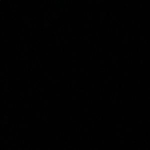 Meet your Posher, Festus